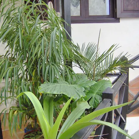 Apartamento Rustic With Balcony And Sea View Icod De Los Vinos