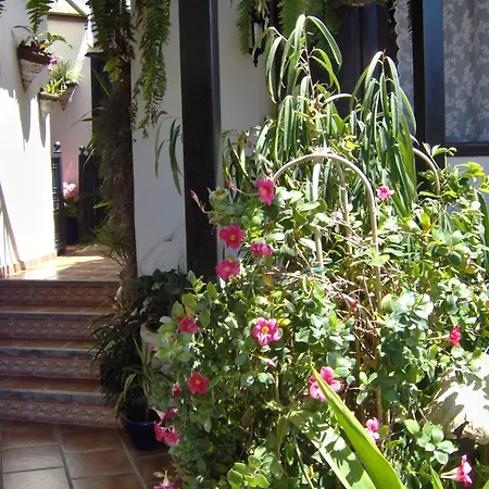 Apartamento Rustic With Balcony And Sea View
