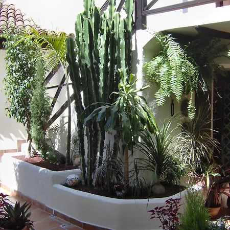 Rustic With Balcony And Sea View Apartamento Icod De Los Vinos
